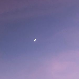 Meet your Posher, Sidney